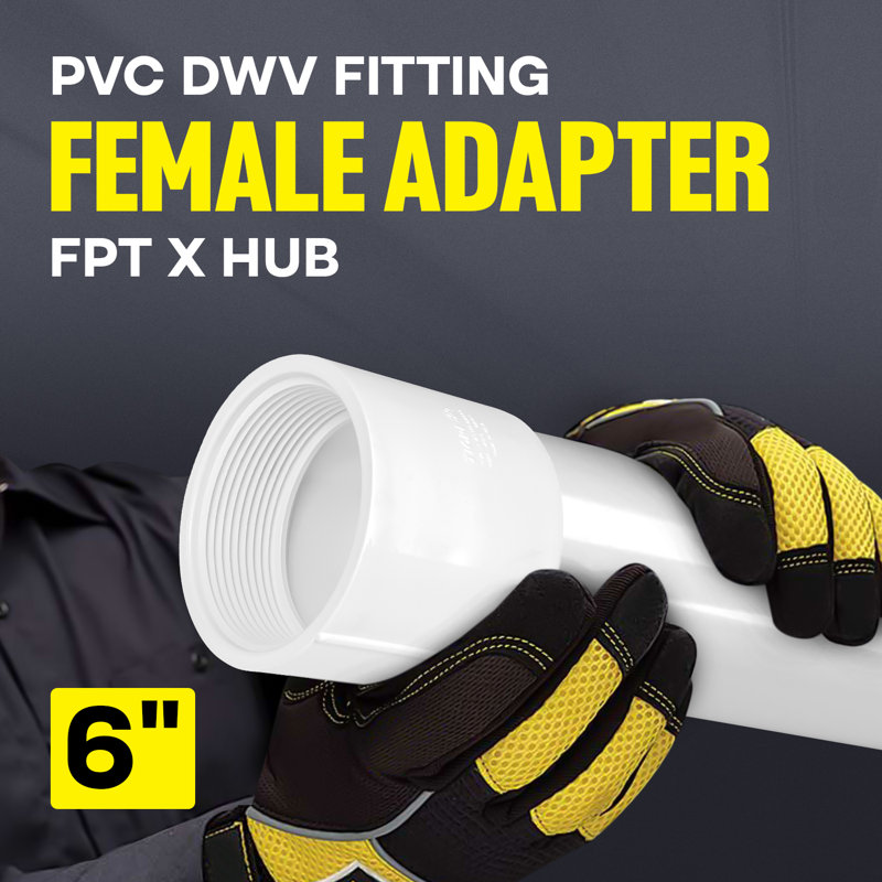 Adaptateur femelle 6 po.