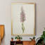 Mauve Garden Flowers I, toile encadrée de qualité supérieure - prête à être accrochée-2085071986-2085071989