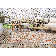 Hise Indoor / Outdoor Area Rug