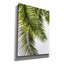 «Palm Leaves» par Lexie Greer-362754696