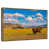 Floating Frame Gold