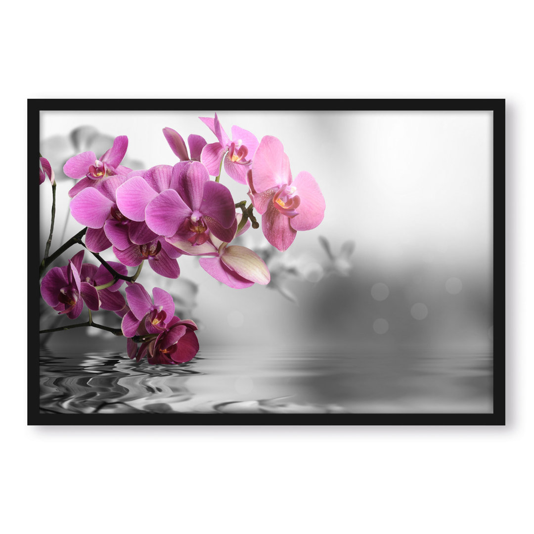 Gerahmtes Poster Orchideenblüten über Wasser