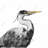Great heron - 32"x32" art on canvas