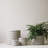 Olisa Ceramic Table Vase-885679756