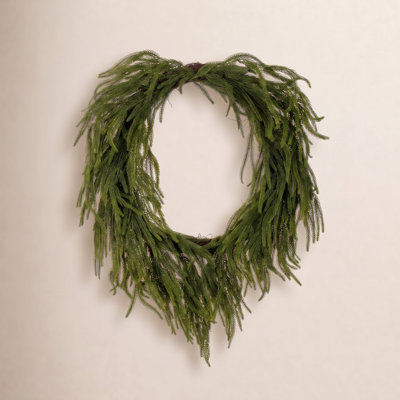 30" Green Norfolk Pine Wreath.
