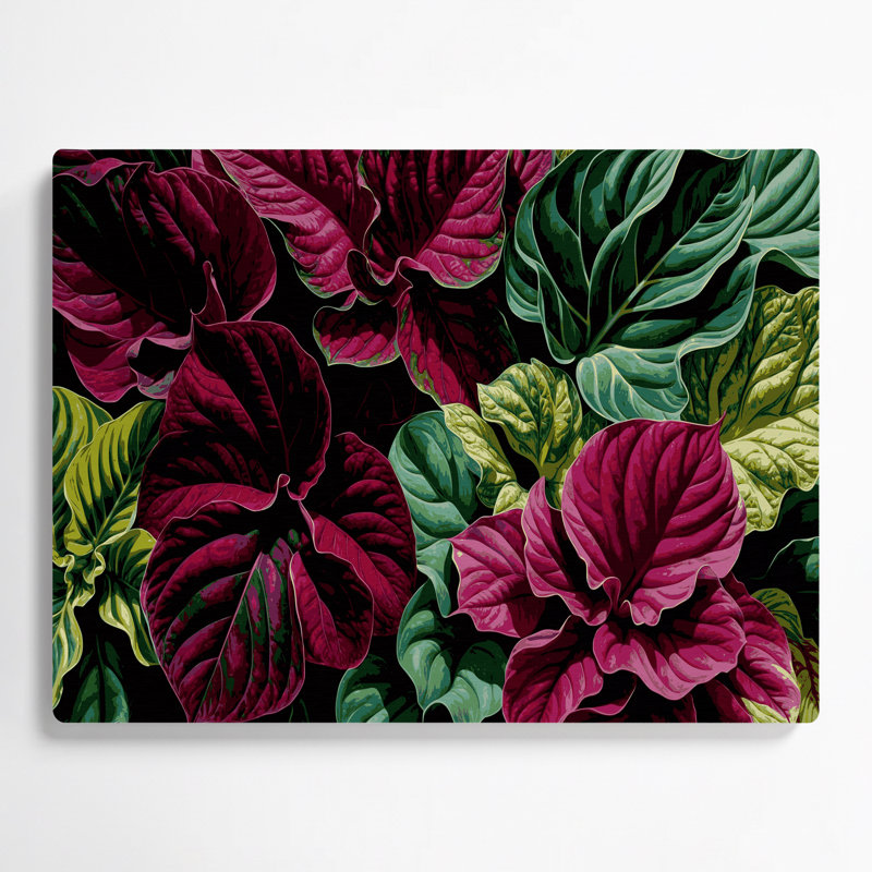 Art mural noir botanique Coleus