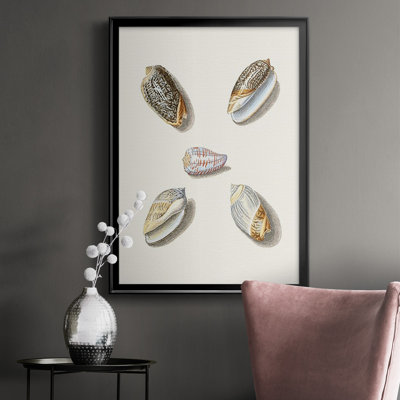 Pastel Knorr Shells III " Pastel Knorr Shells III "