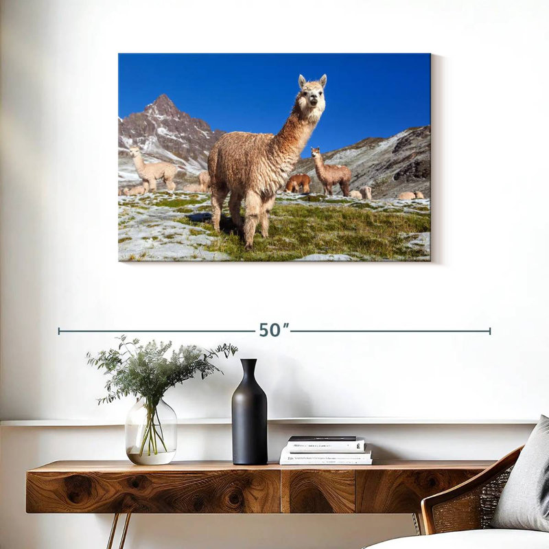 Brampt Woolly Andes Llamas, 24" H x 36" W