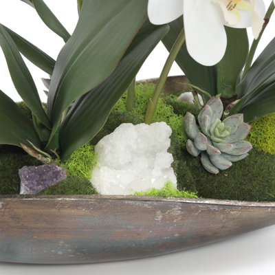 Orchid Floral Arrangement