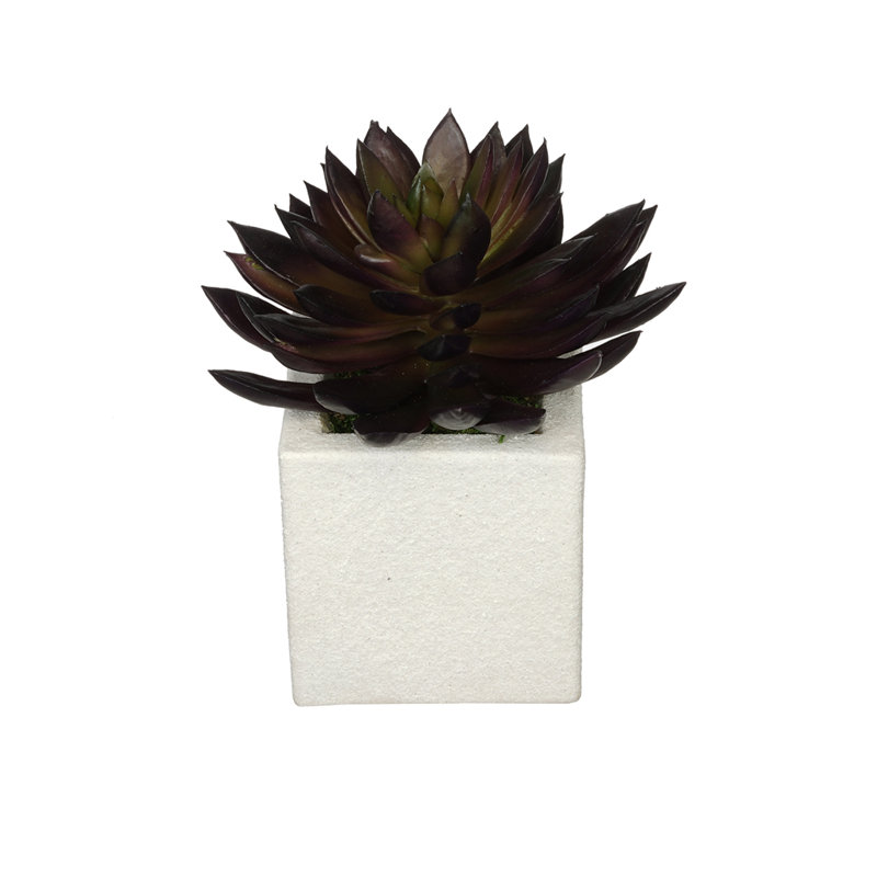 Plante echeveria à pointe artificielle dans un pot de fleurs, blanc, Bourgogne