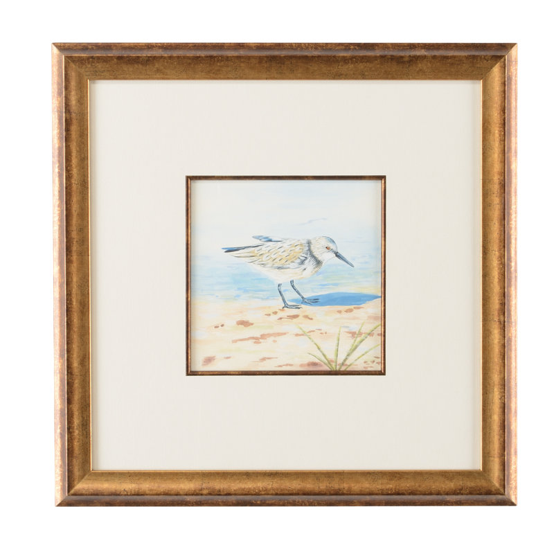 Lisa Kahn Sand Piper VI - peinture à l'aquarelle sur cadre