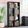 Eleia Bookcase