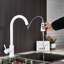 Belfry Kitchen Burna Kitchen Faucet Side Spray