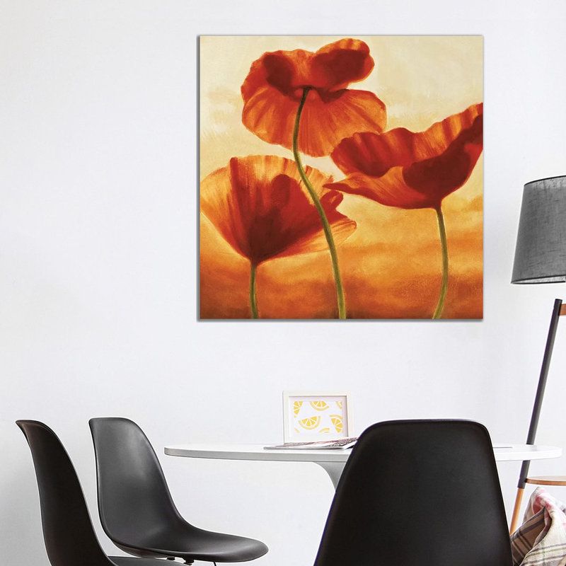 Poppies In Sunlight II by Andrea Kahn - Wrapped Canvas Print, 93.98 cm H x 93.98 cm W x 3.175 cm D