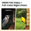 Birdfy Smart