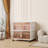 Collapsible Storage Bins With Lids