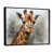 Black Floater Framed