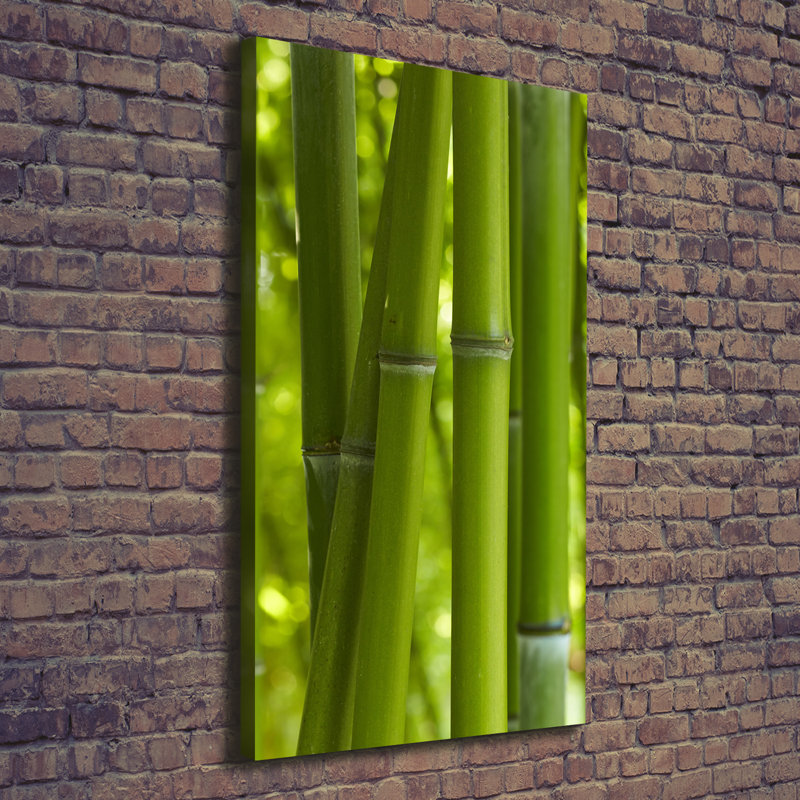 Bamboo Forest - Wrapped Canvas Print