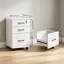 3 Drawer Wooden Mobile File Cabinet-1077969904