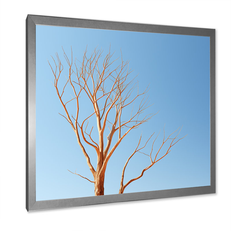 «Blue Timbers Trace Photo I», reproduction sur toile, H 30 po x l 30 po x P 1 po, Cadre simple argenté