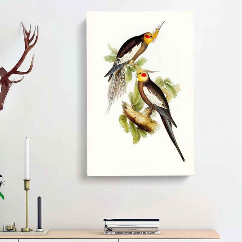 Cockatoo Parakeets by Elizabeth Gould - Wrapped Canvas Painting, 76cm H x 50cm W x 3cm D