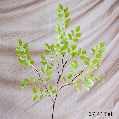 Branche de feuille de printemps frais, Vert / Blanc