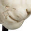 Object Lion Sandstone