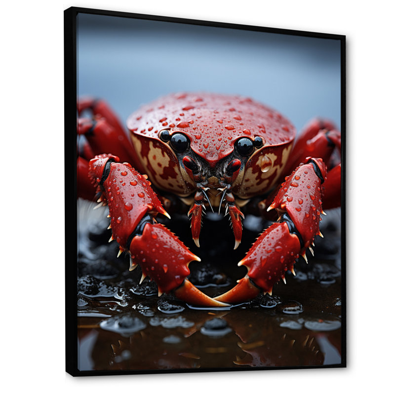 Corail gris homard Portrait vibrant - impression, H 32 po x l 16 po x P 1 po, Cadre flottant noir