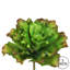 Plante grasse artificielle 9 po