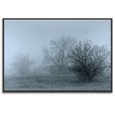 Print on Canvas