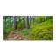 50cm W x 100cm L Glass Peel and Stick Panel