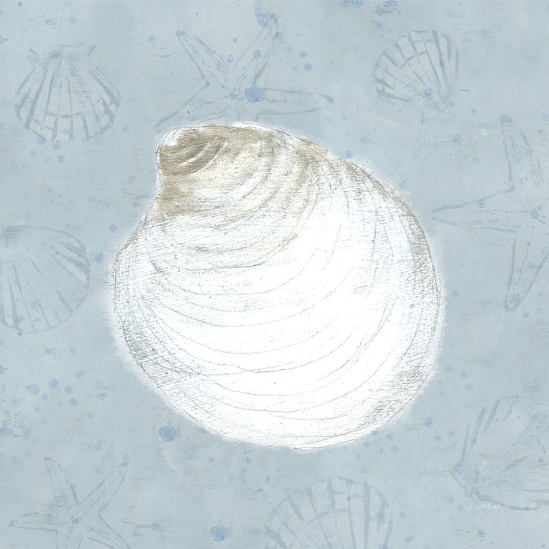 Serene Shells II by James Wiens - Wrapped Canvas Painting, 30cm H x 30cm W x 3.8cm D