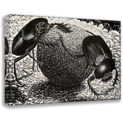 Scarebs by M.C.Escher Gallery Wrapped Canvas