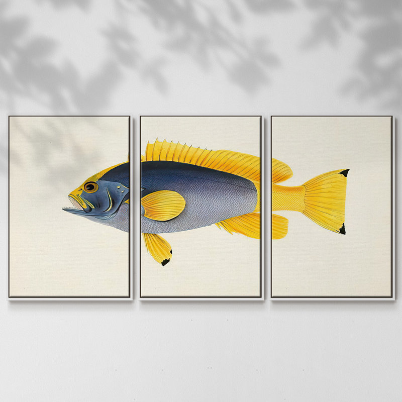 Collection de poissons tropicaux V 3 pièces, H 40 po x l 78 po x P 2 po, Blanc