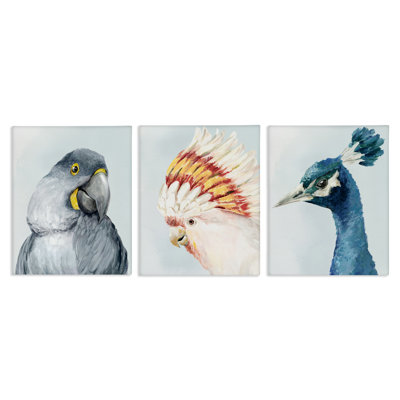 «Vivid Plumage Bird Portraits», ensemble de 3 toiles par Hannah Dawson