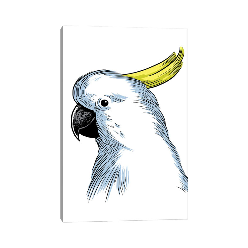 Sketch Parrot 1 Piece Wrapped Canvas Painting, 30.48cm H x 20.32cm W