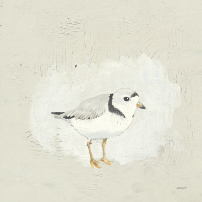 Oiseaux de mer I