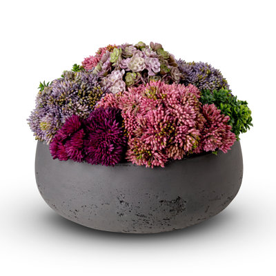 Arrangement floral en pot Artful Interiors