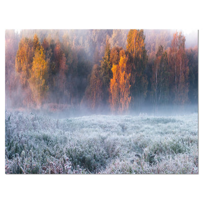 " Grey Hoarfrost Design By Winter "