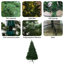 Arbre de Noël pin Tinsley-1061194251-1061194356