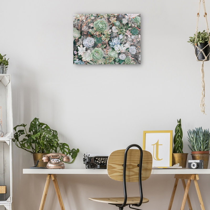 «Succulent Garden» par Studio Arts, reproduction d'art sur toile, H 11 po x l 14 po