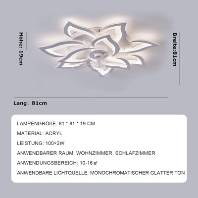 Ceiling Fan