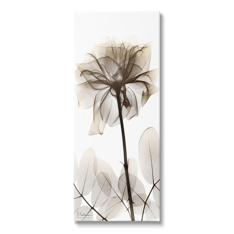 «Blooming Opaque Flower» par Albert Koetsier sur, Toile tendue, H 40 po x l 17 po x P 1,5 po