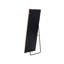 Leolani Flat Leather Floor Mirror-1099306050