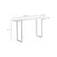 Avander 55'' W Console Table