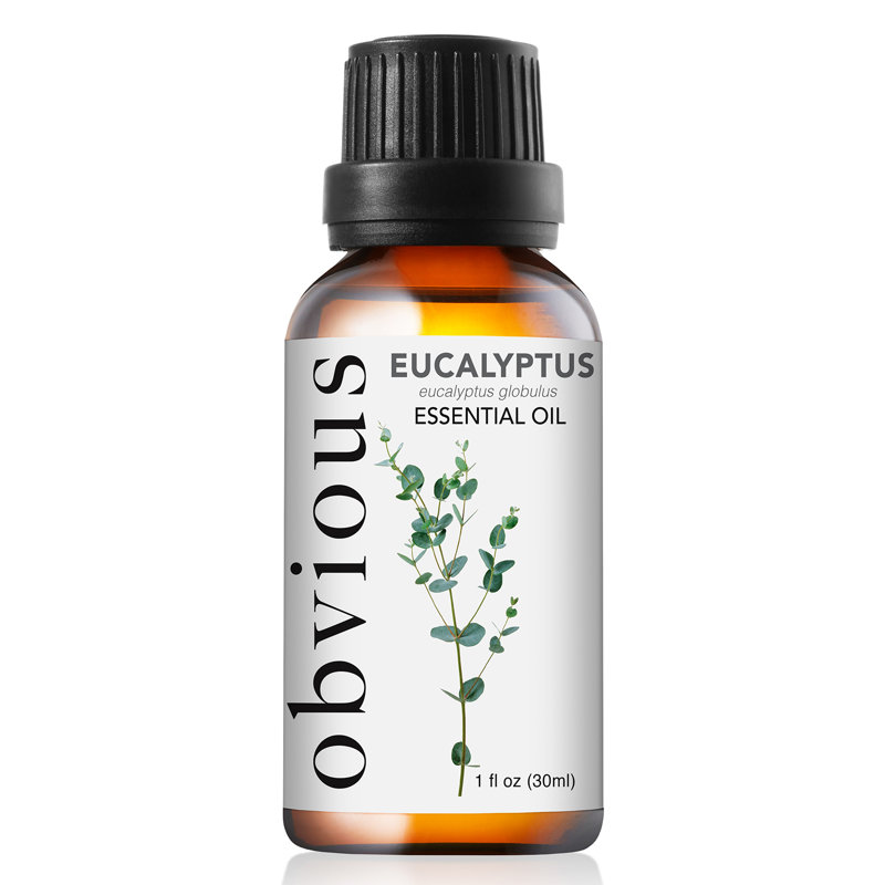 Aromatherapy Oils & Scents