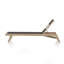 Julian Outdoor Teak Chaise Lounge-63791247