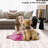 Machine Washable Area Rugs for Living Room Non-Slip Rug Durable Floor Carpet Easy-Cleaning Rug-1033523770