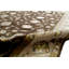 Oriental Area Rug