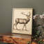 Vintage Animal VII - reproduction de cadre de coin fermé-2136004208-2136004210